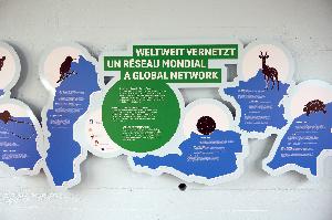 Zoo Basel: Weltweit vernetzt